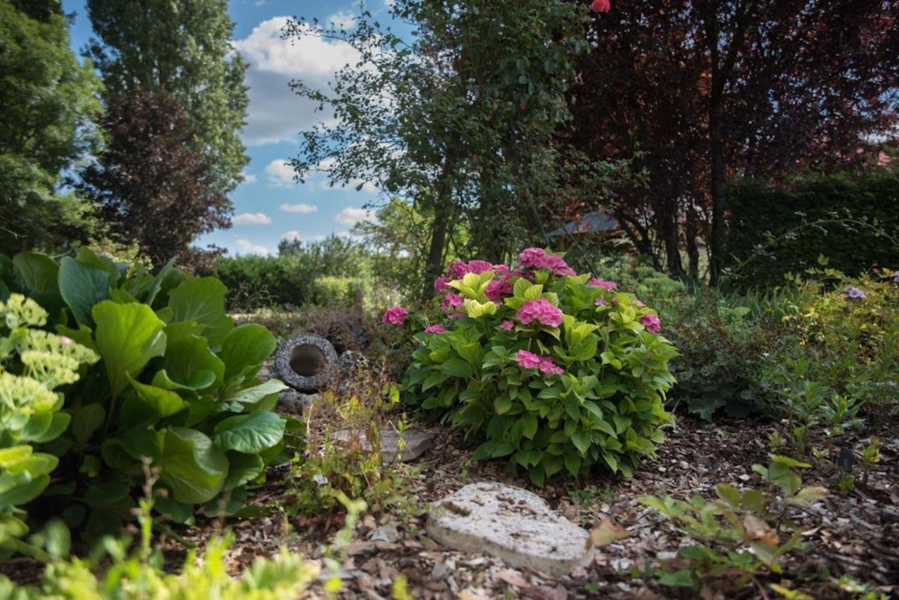 La Demalerie Bed & Breakfast Cheverny Exterior photo