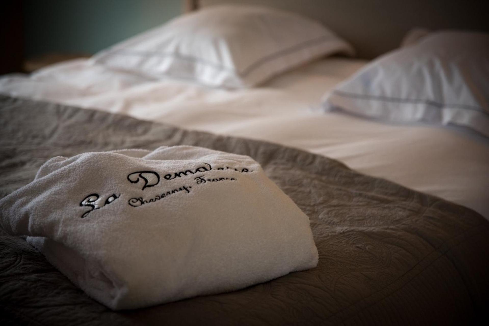 La Demalerie Bed & Breakfast Cheverny Room photo